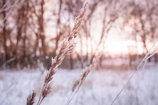https://5b0988e595225.cdn.sohucs.com/images/20191222/efeadba67a874d62ae41b61e89325516.jpeg