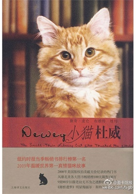 一只感动世界的图书馆猫