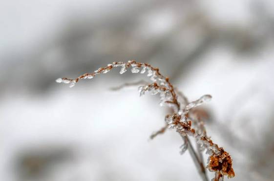 https://5b0988e595225.cdn.sohucs.com/images/20191222/dd5b20f0ce894088935e1e3a58fa5748.jpeg