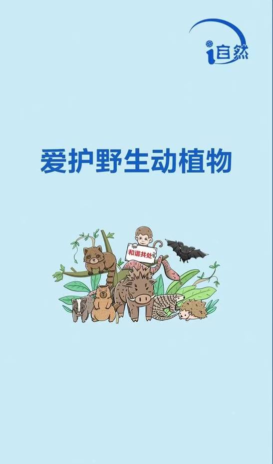 b1e8fb0529c8109f867c747fd36b78a