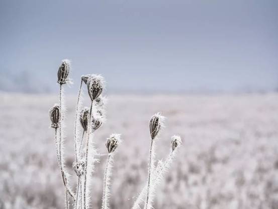 https://5b0988e595225.cdn.sohucs.com/images/20191222/e36a64605c884b64bfe495ebb3d79b09.jpeg