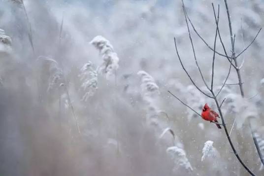 https://5b0988e595225.cdn.sohucs.com/images/20191222/f91f6b8140474557ae18d7f06632865c.jpeg